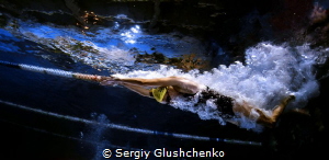 Pool... by Sergiy Glushchenko 